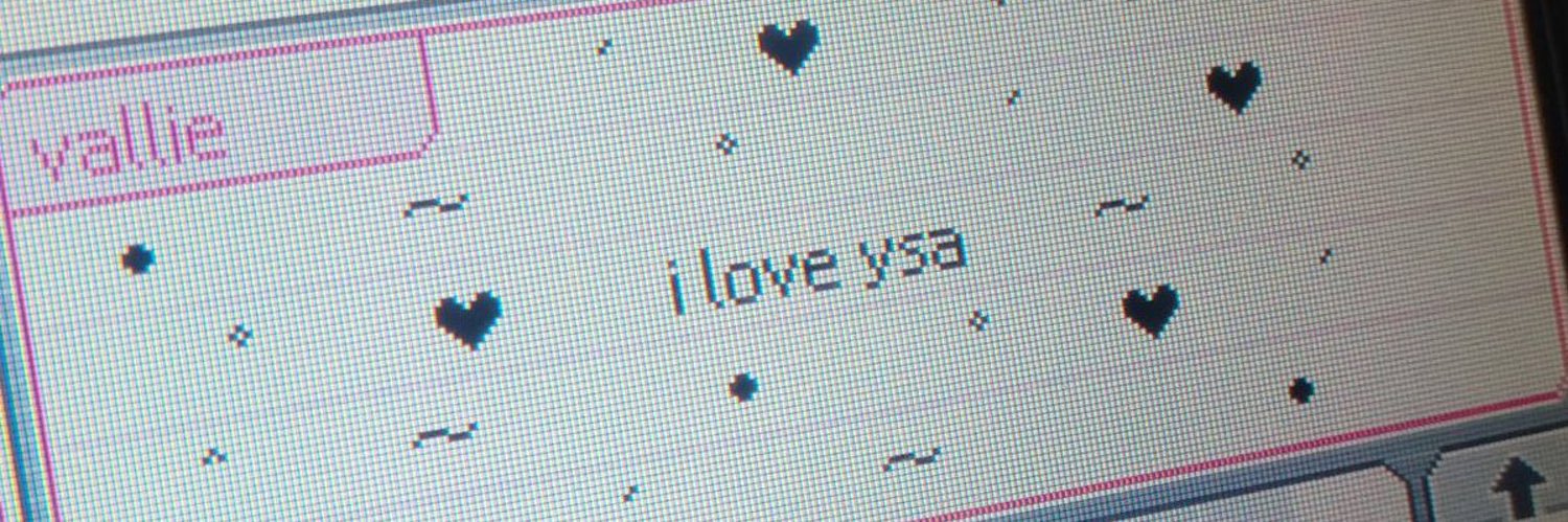 ysa banner