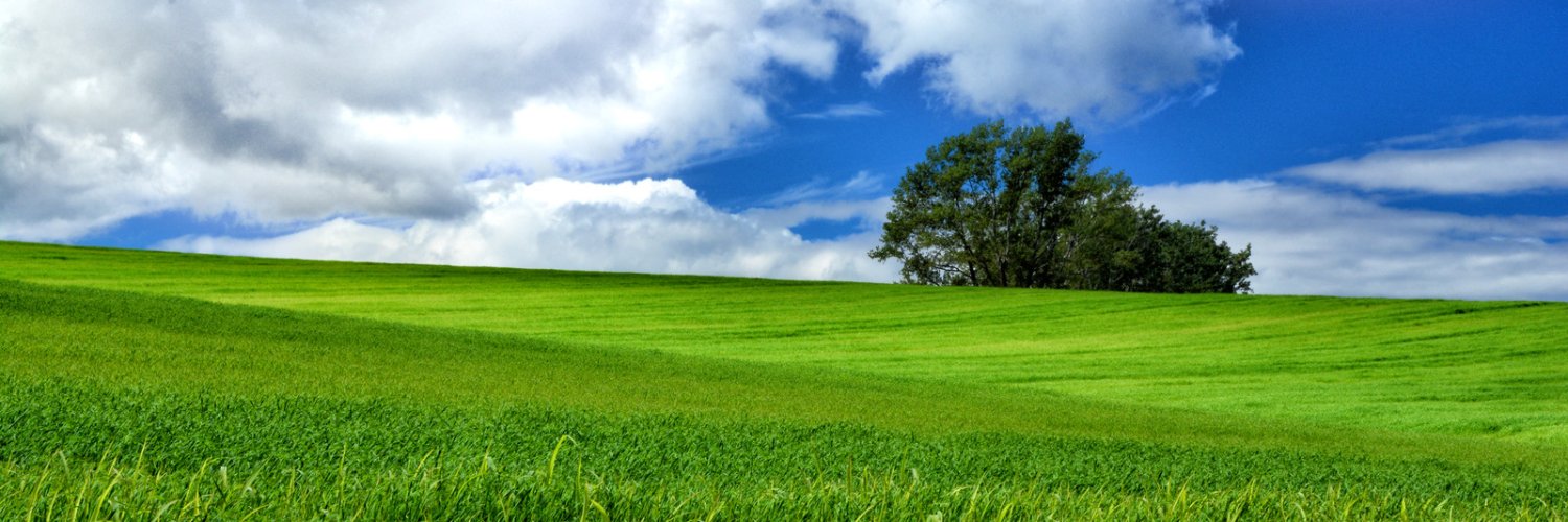 わんうるふ banner