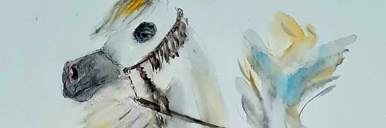 نـادر العتيــبي banner