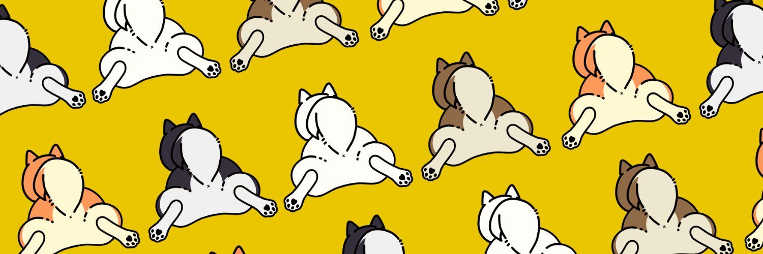 ymd_alpha__'s profile banner image