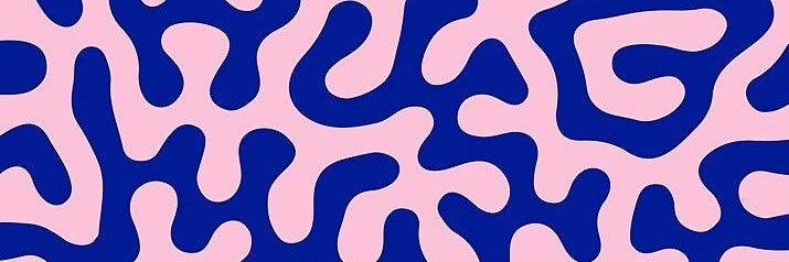 holliewbu's profile banner image