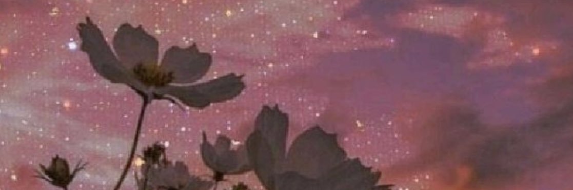 sondranevalee's profile banner image