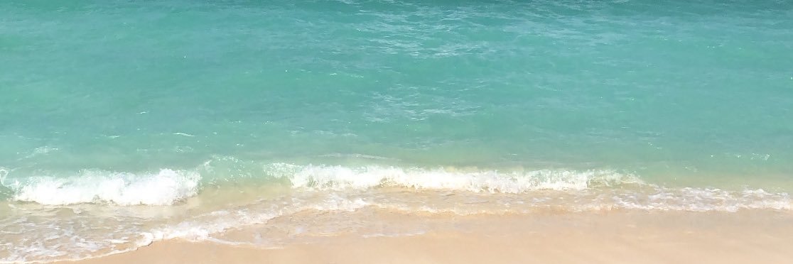 _taylorcarrillo's profile banner image