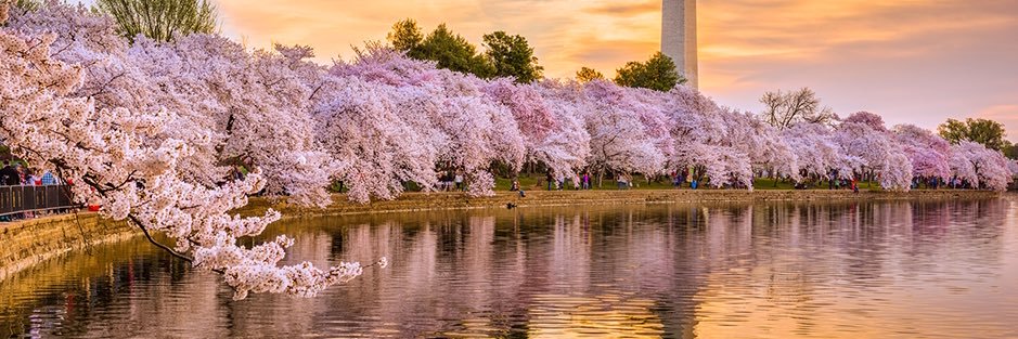 Jeremy Sherman banner