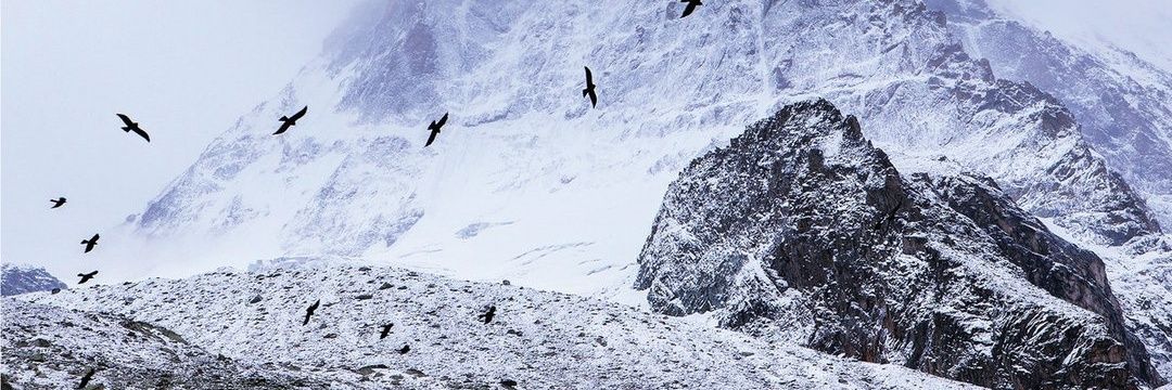 Frame The Enemy banner