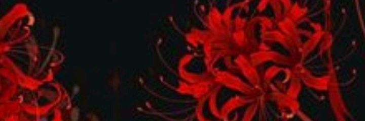 lolo_ banner