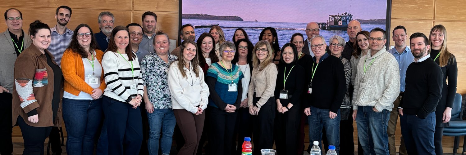 Springboard Atlantic banner