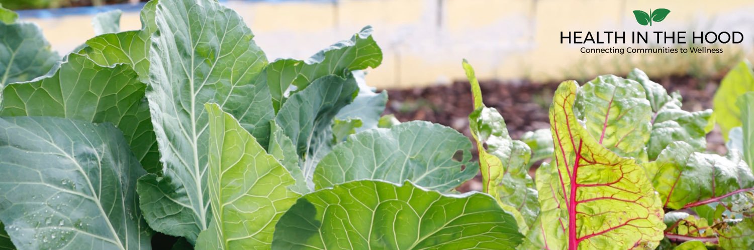 HealthintheHood's profile banner image