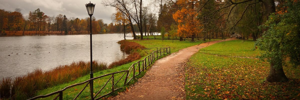 Ирина Градова banner