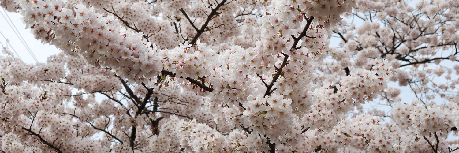 Publishing_Amy banner