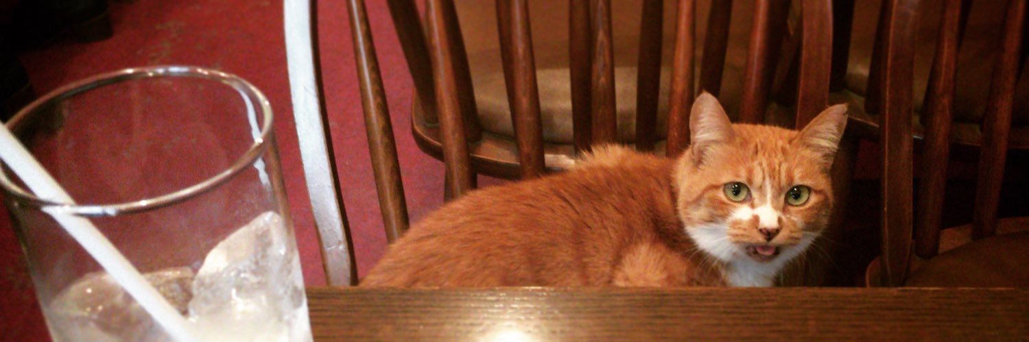 大家一将 KazumasaOhya banner