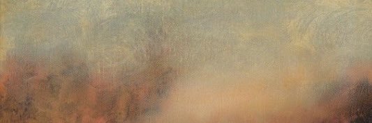 sennlefennle's profile banner image