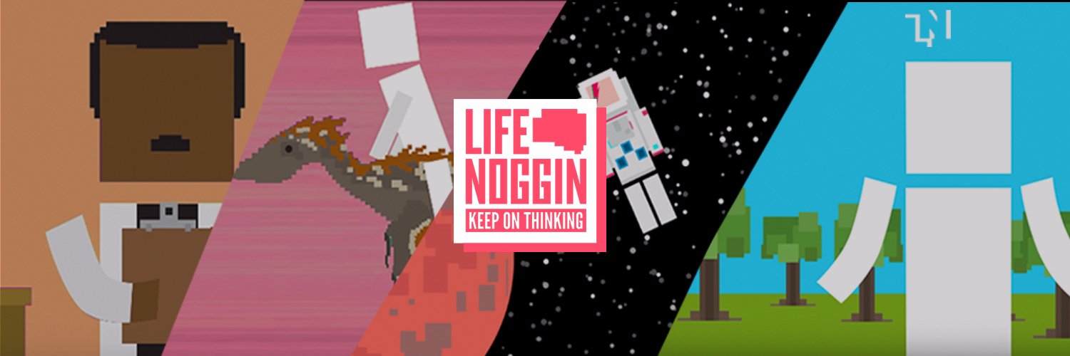 Life Noggin banner