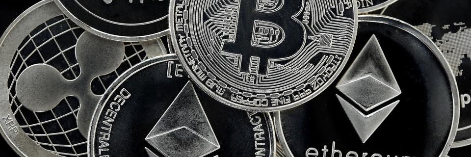 Truth Bot banner
