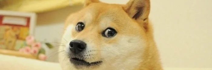 DaBiggestDog1's profile banner image