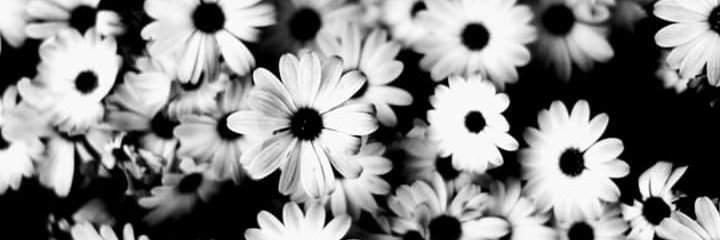 MoralesMichelll's profile banner image