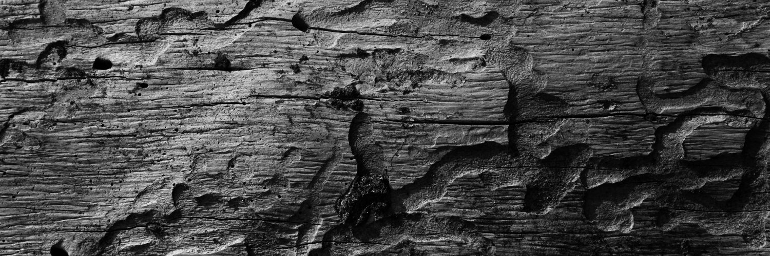 DECrispus's profile banner image