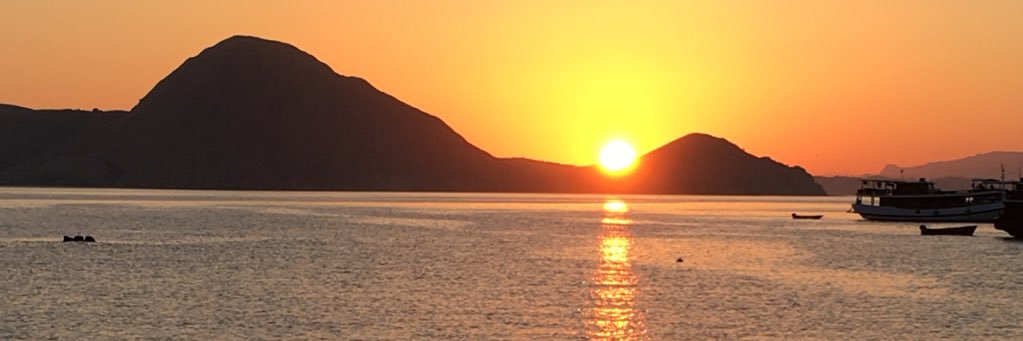 tramendum's profile banner image