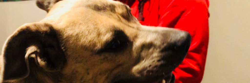 AustinBlaze27's profile banner image