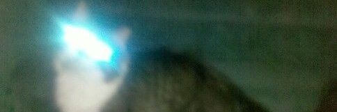 w712525's profile banner image