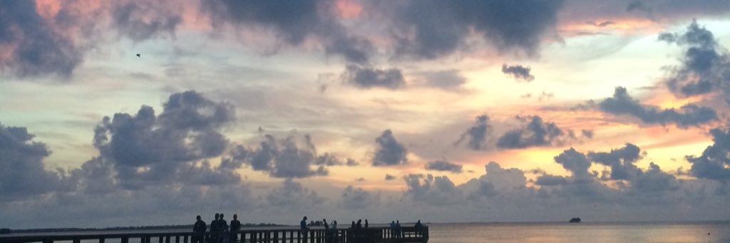 marlaynawills's profile banner image