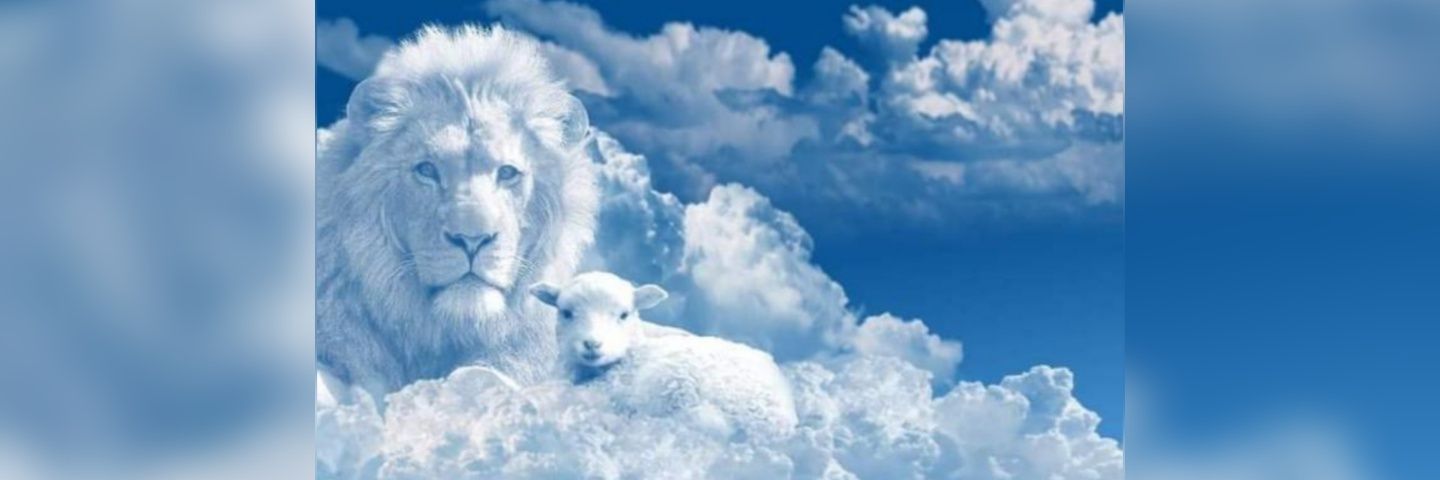 g_vyri's profile banner image