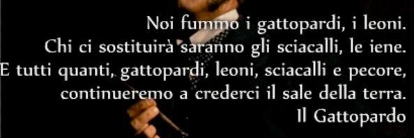 fifranzo's profile banner image
