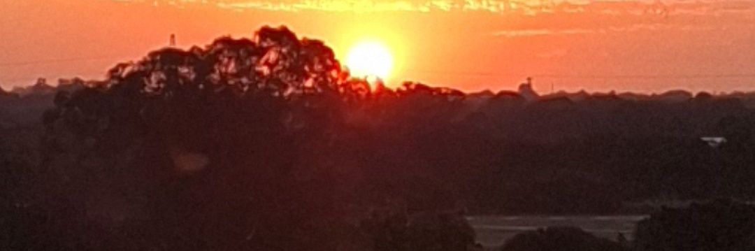 TabooSonLuke's profile banner image