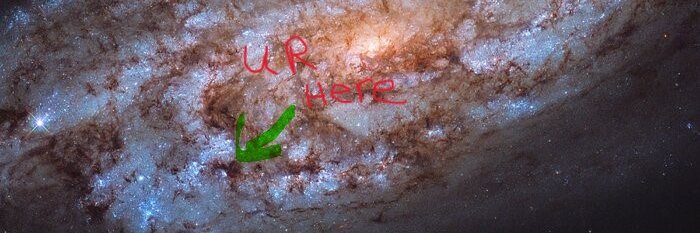 Robert MacDonald banner