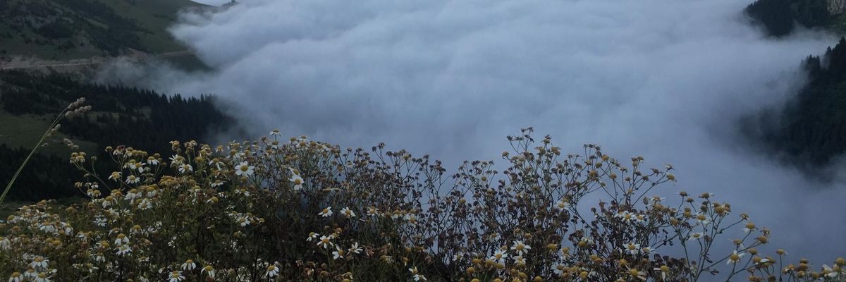 hasanyasin60's profile banner image