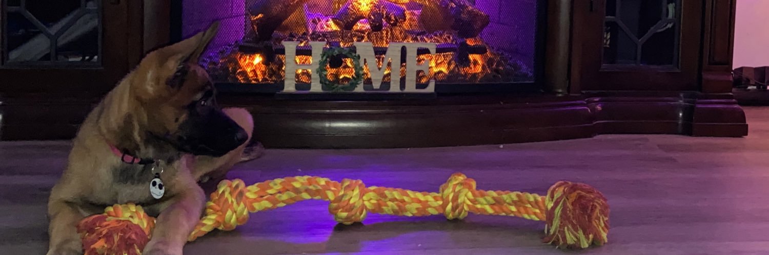 OdysseyMosqueda's profile banner image