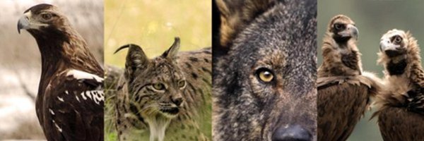 Jpild11 Profile Banner