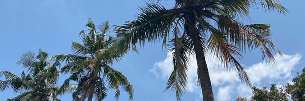 ANDRAE_TSC Profile Banner