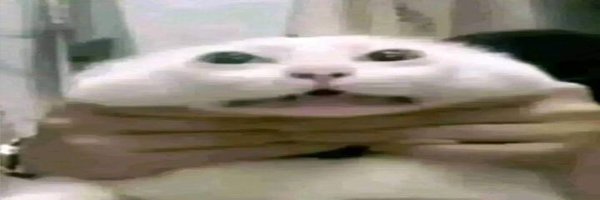 LudicrousAXL Profile Banner