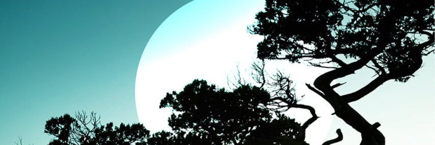 iAmNumber4K's profile banner image