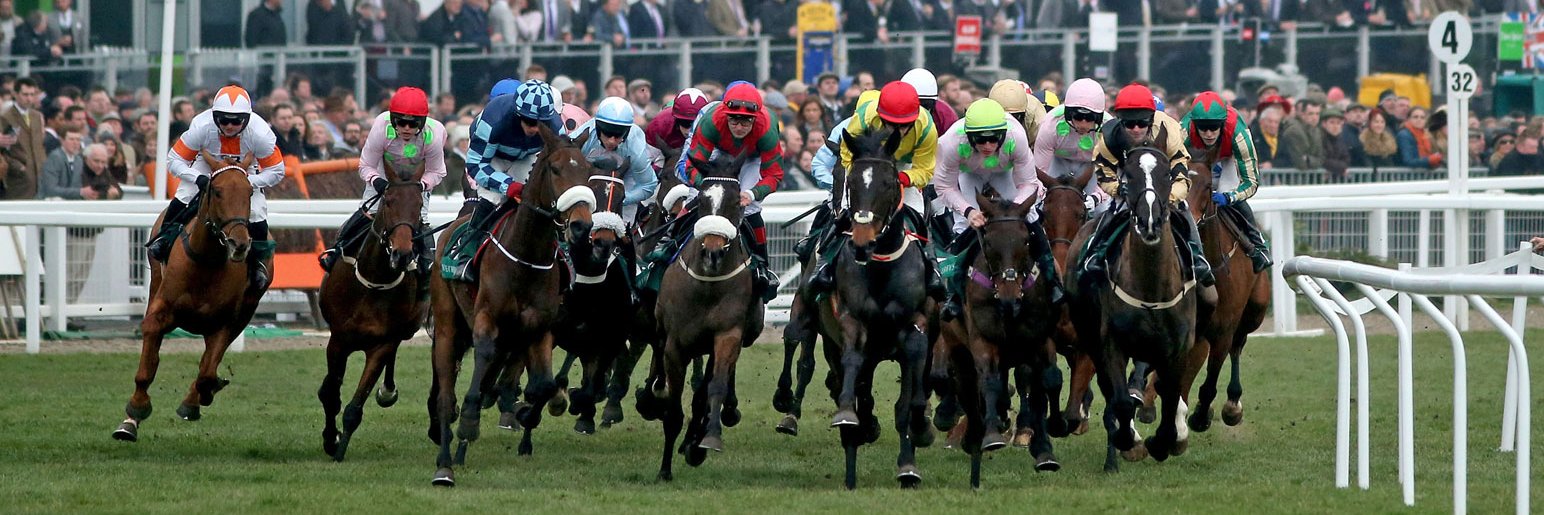 The Parade Ring banner