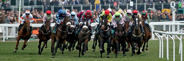 The Parade Ring Profile Banner