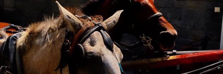Yerlm6's profile banner image