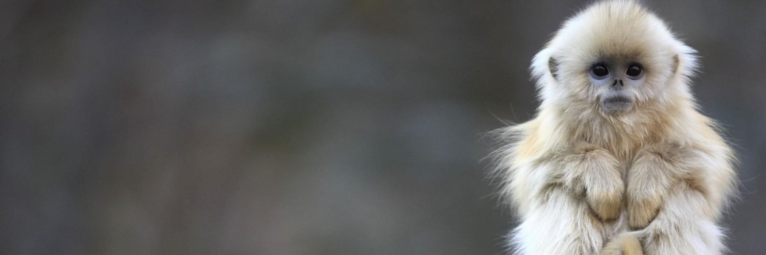 LogannNeu's profile banner image
