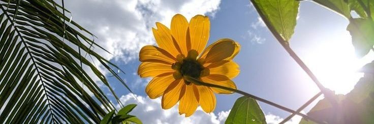 Ojeda_Sol15's profile banner image