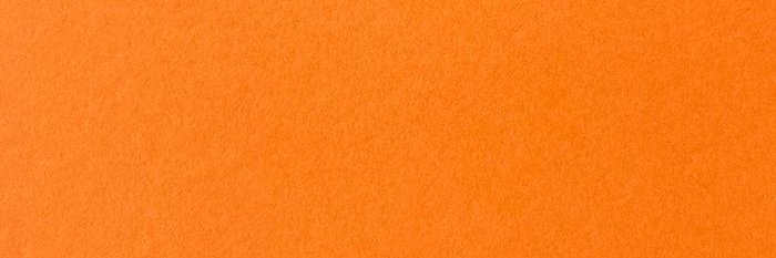 Fernanda C. 🇦🇷 🇺🇦 🇮🇱 banner