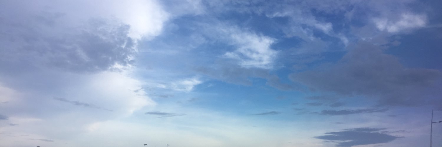 Mélodie Monod banner