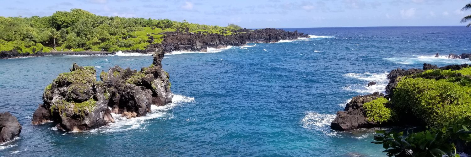 CastilloBobbi's profile banner image