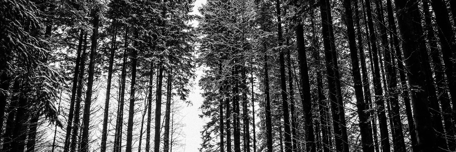 Pullwood Performance Journeys banner