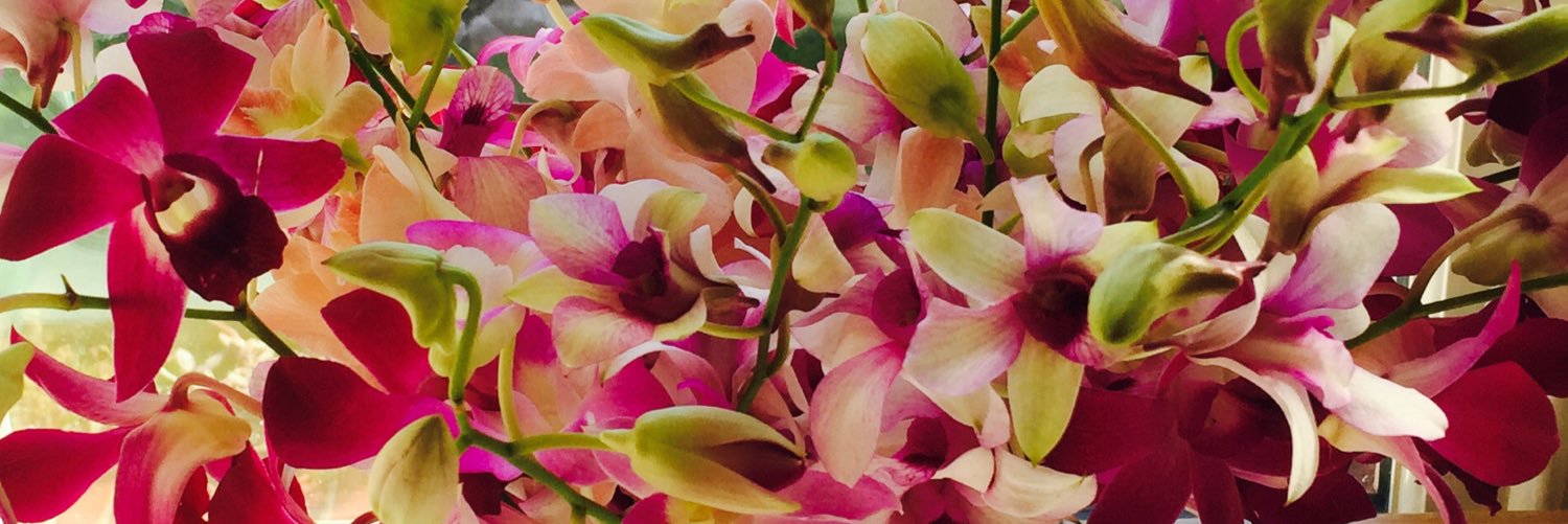 Charlene Allen banner