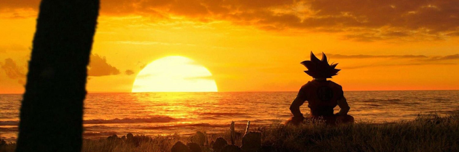 wellanbnl's profile banner image