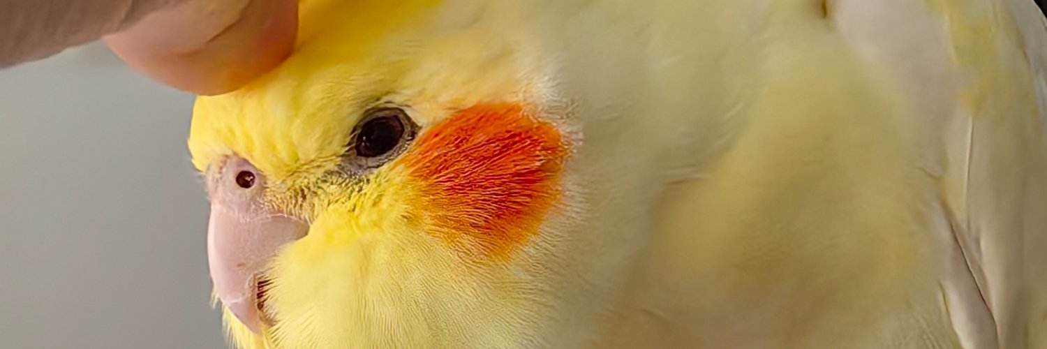 cyanwinds's profile banner image