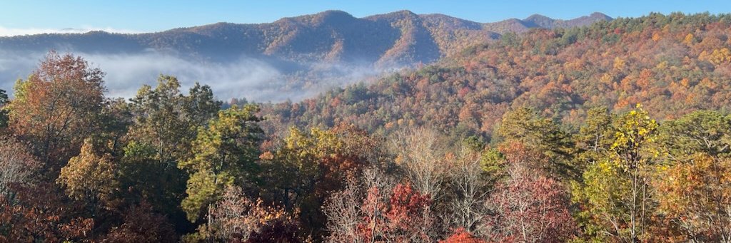 DonMcDonnell's profile banner image