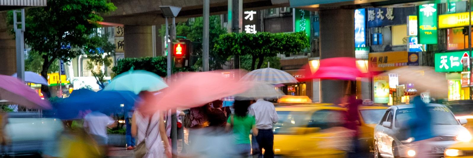 Total Linguistics banner