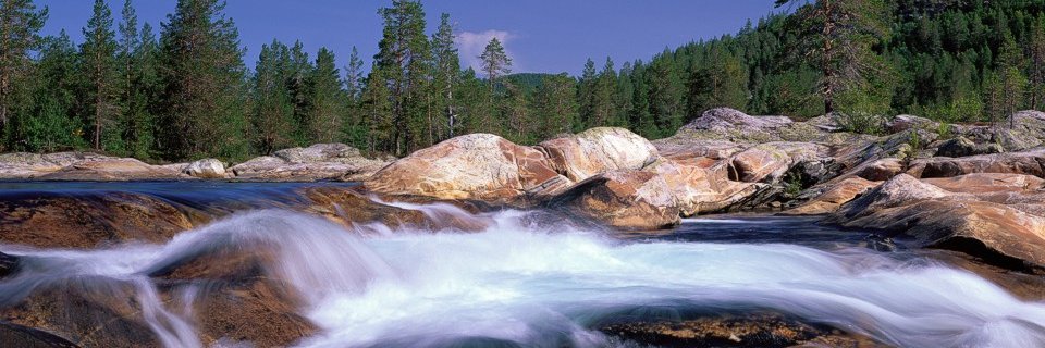 EuropeWildlife's profile banner image